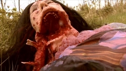 horreur,zombies,film,cinéma,irlande,dead meat,conor mcmahon,marian araujo,vache folle,epidemie